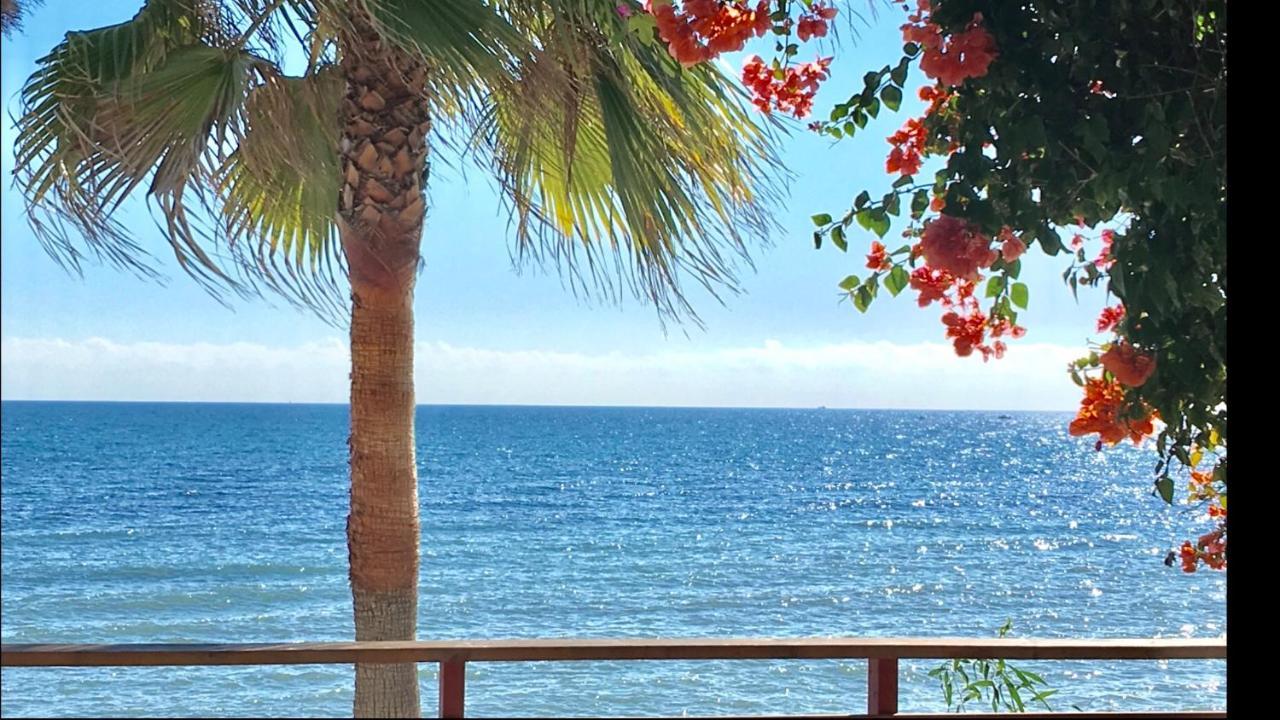 Mi Capricho 4C Beachfront -Apartment With Sea View - Costa Del Sol Sitio de Calahonda المظهر الخارجي الصورة